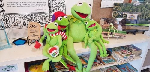 A group of Kermit the Frog plush toys sitting together on a shelf, surrounded by books and colorful decor.