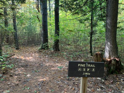 A wooded path marked by a sign reading "Pine Trail" with a distance of 0.3 miles, surrounded by trees and foliage.