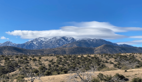 Snow-capped mountains under a blue sky with wispy clouds, surrounded by a grassy landscape and scattered trees.