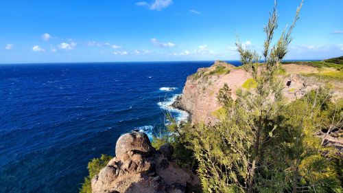A rocky coastline meets a deep blue ocean under a clear sky, with greenery in the foreground.
