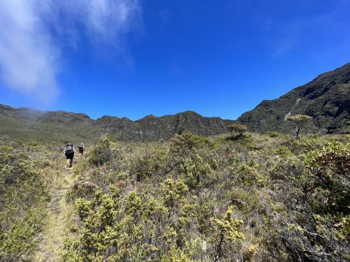 Two hikers walking on a trail through lush greenery, with mountains and a clear blue sky in the background.