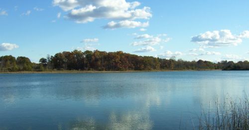 A serene lake surrounded by trees under a clear blue sky with fluffy clouds reflecting on the water's surface.
