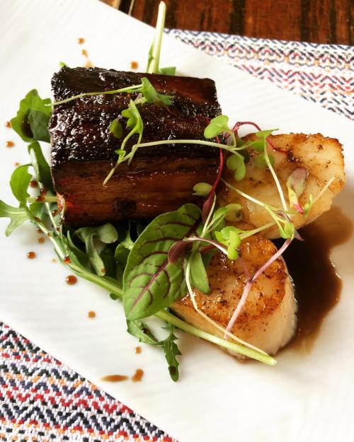 A gourmet dish featuring seared scallops, crispy pork belly, and fresh greens, drizzled with sauce on a white plate.