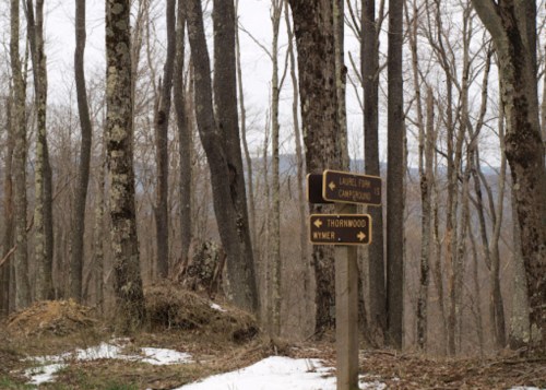 Two wooden signs in a forest, one pointing to Laurel Fork Campground and the other to Thornwood Wymer, with bare trees around.