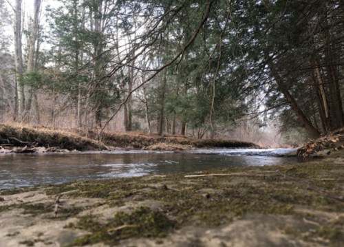 A serene river flows through a wooded area, surrounded by trees and mossy banks, creating a peaceful natural scene.