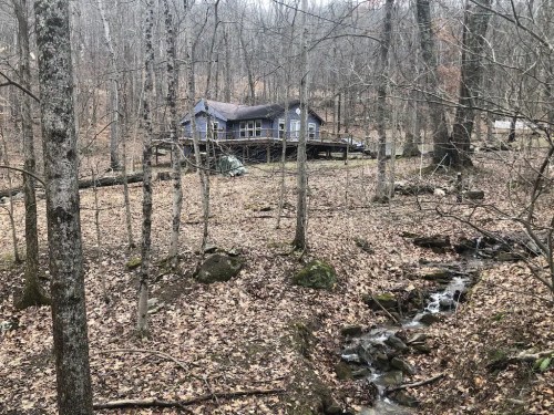 A cozy blue house nestled in a wooded area, surrounded by bare trees and a small stream flowing nearby.