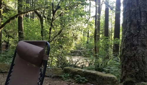 A camping chair in a lush green forest, surrounded by tall trees and dense foliage.
