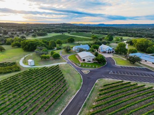 Aerial view of a vineyard with lush green rows, a parking area, and buildings under a cloudy sky at sunset.