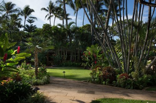 Lush tropical garden with palm trees, vibrant flowers, and a manicured lawn under a clear blue sky.