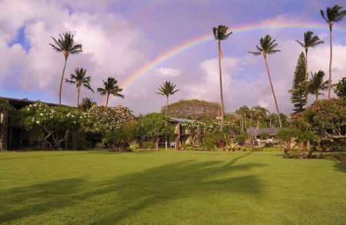 A lush green lawn with palm trees and a rainbow in the sky, surrounded by tropical plants and a serene atmosphere.