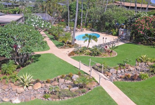 A lush garden with a pool, surrounded by tropical plants and pathways, creating a serene outdoor space.