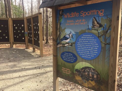 A sign titled "Wildlife Spotting" in a wooded area, featuring illustrations of a blue jay, butterfly, and turtle.