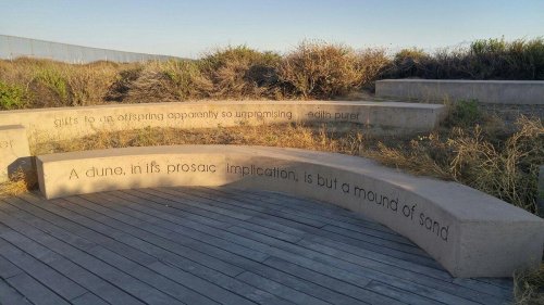 A curved stone bench with engraved text surrounded by tall grass and shrubs in a natural setting.
