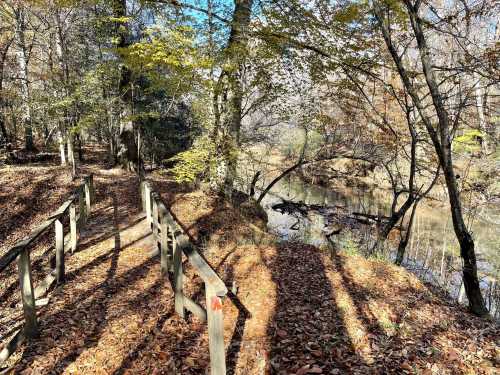 A serene forest path with wooden railings, surrounded by autumn leaves and a calm river in the background.