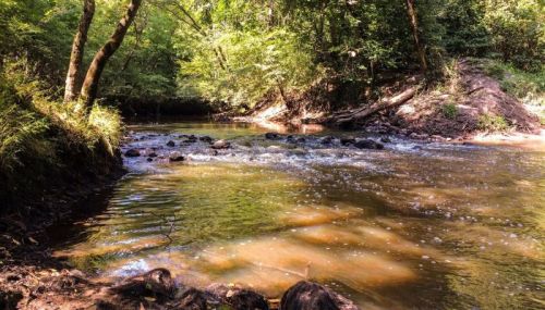 A serene river flows through a lush green forest, with sunlight filtering through the trees.