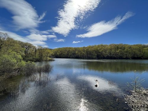 A serene lake surrounded by lush greenery under a bright blue sky with scattered clouds. Reflections shimmer on the water.