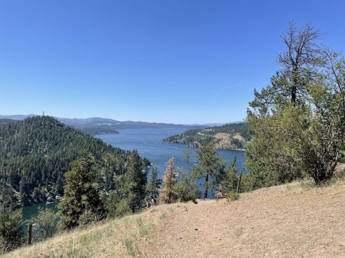 A scenic view of a lake surrounded by green hills and trees under a clear blue sky.