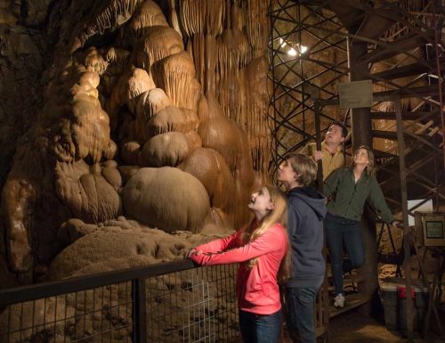 A group of four people gazes up at impressive stalactites in a cave, illuminated by warm lighting.