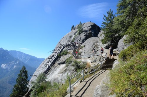 A rocky trail with wooden railings, surrounded by trees and mountains under a clear blue sky. Hikers are visible on the path.
