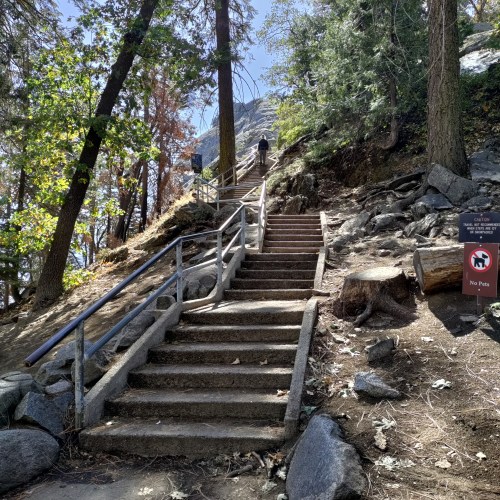 A person walks up a set of stairs surrounded by trees and rocks, with a sign indicating no pets allowed.