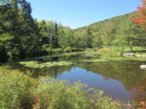 A serene pond surrounded by lush greenery and trees, reflecting the blue sky and colorful foliage.