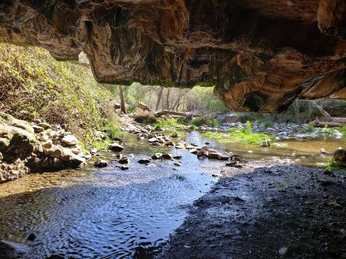 A serene view from under a rocky overhang, with a stream and lush greenery in the background.