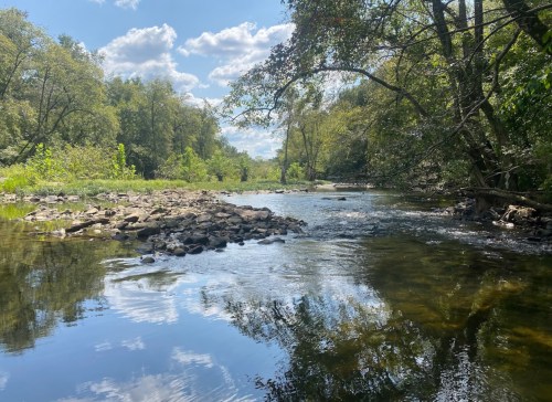 A serene river scene with clear water reflecting trees and clouds, surrounded by lush greenery under a blue sky.