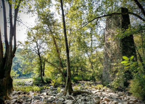 A serene forest scene featuring a stone structure beside a rocky stream, surrounded by lush green trees.