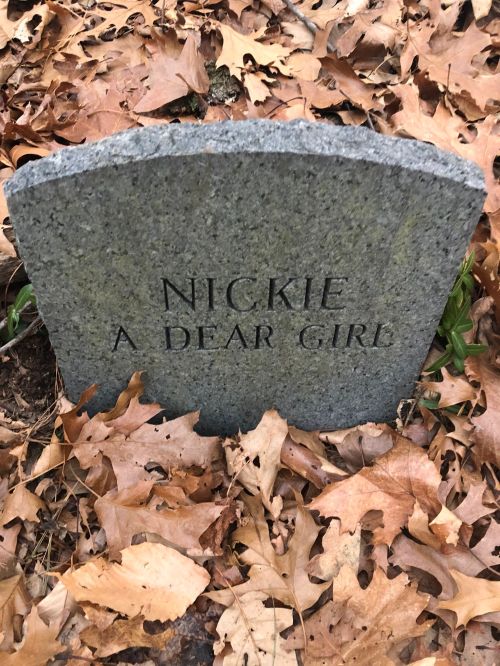 A gravestone reading "Nickie, A Dear Girl," surrounded by fallen leaves.
