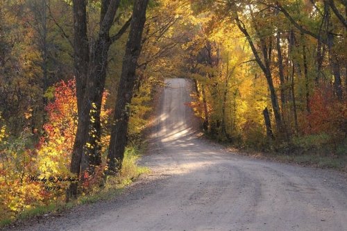 A winding dirt road surrounded by vibrant autumn foliage in shades of yellow, orange, and red.