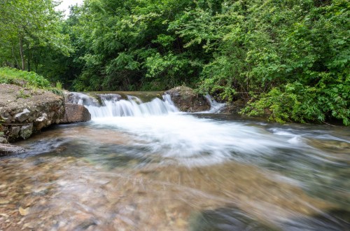 A serene stream flows over rocks, surrounded by lush green trees and foliage.