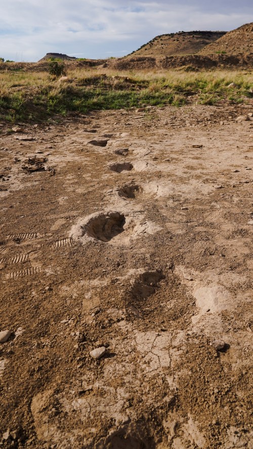 Footprints in the dirt trail lead across a rugged landscape with hills in the background under a cloudy sky.
