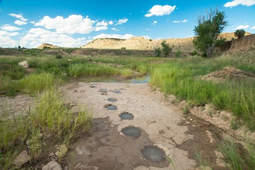 A dry landscape with grassy patches, shallow water pools, and distant hills under a blue sky with scattered clouds.