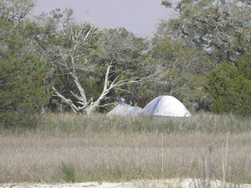 A tent is set up among tall grass and trees in a natural landscape.