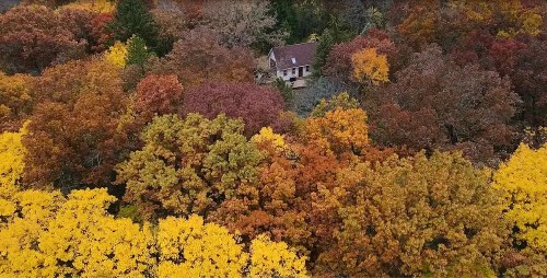 Aerial view of a cozy house surrounded by vibrant autumn foliage in shades of orange, yellow, and red.