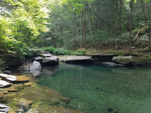 A serene forest scene featuring a clear, calm pool of water surrounded by lush greenery and rocky banks.