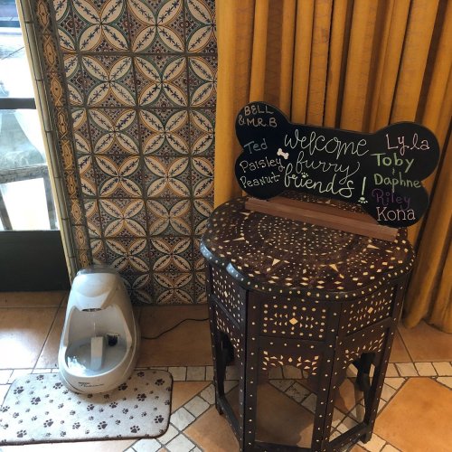 A decorative table with a welcome sign for pets and a pet water fountain beside it, set against a patterned wall.