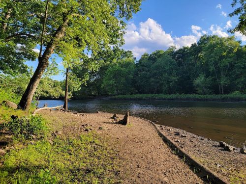 A serene riverbank scene with trees, lush greenery, and a calm water surface under a blue sky with scattered clouds.