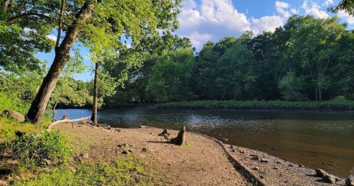 A serene riverbank scene with lush green trees and a calm water surface under a blue sky with scattered clouds.