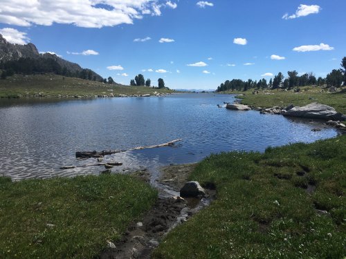 A serene lake surrounded by grassy banks and rocky shores, under a clear blue sky with scattered clouds.