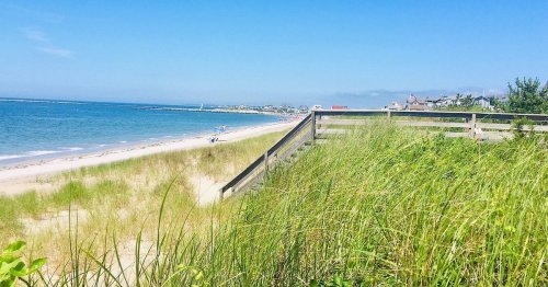 A sandy beach with tall grass in the foreground, a clear blue sky, and a distant view of a coastal town.