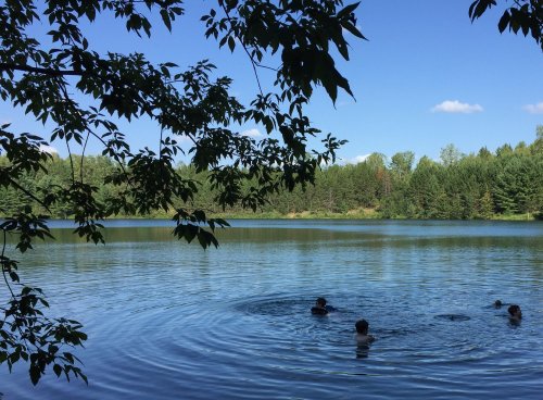 A serene lake surrounded by trees, with a few people swimming and ripples in the water under a clear blue sky.