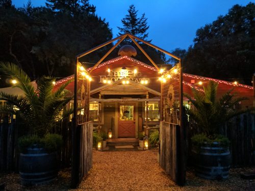 A cozy restaurant entrance illuminated by string lights, surrounded by greenery and wooden barrels at dusk.