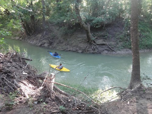 Two people kayak on a calm, green river surrounded by trees and natural scenery.