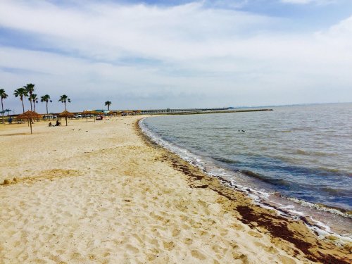A sandy beach with palm trees, a pier in the distance, and calm waters under a cloudy sky.
