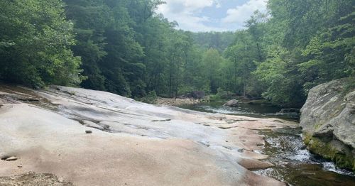 A serene river flows through a lush green forest, with smooth rock formations and trees lining the banks.