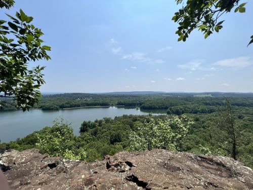 A scenic view of a river winding through lush green forests under a clear blue sky.