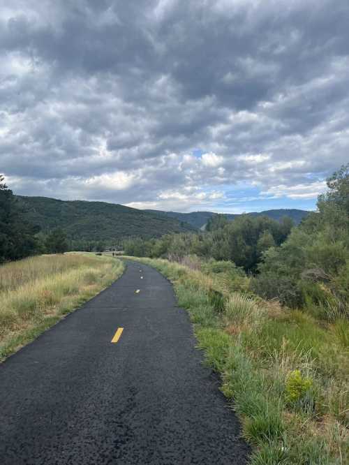 A winding path through grassy fields, surrounded by trees and mountains under a cloudy sky.