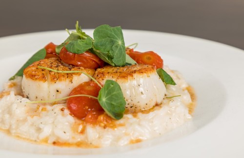 A plate of creamy risotto topped with seared scallops, cherry tomatoes, and fresh greens.