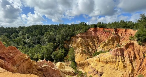 Red clay canyons surround vibrant green trees at Red Bluff, Mississippi.